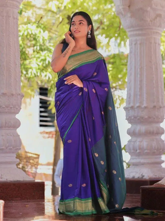 Graceful Silk Saree with Contrast Zari Border